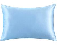 Silk Pillowcase, Funda Almohada Seda Nature Mulberry Silk Pillowcase con Cremallera Pillowcasas Funda de Almohada para Multicolor Sano(Light Blue,51x66 cm)