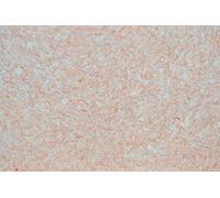 Silk Plaster UK LTD Alternativa Papel pintado decorativo con purpurina texturizada pared Optima 055