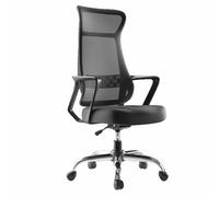 Silla de Oficina ergonómica de Malla con Soporte Lumbar, reposabrazos, Silla ejecutiva giratoria 360°, Ideal para Uso prolongado(Black*Alloy,Standard)
