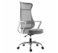 Silla de Oficina ergonómica de Malla con Soporte Lumbar, reposabrazos, Silla ejecutiva giratoria 360°, Ideal para Uso prolongado(White*Nylon,Standard)