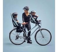 Silla De Paseo Thule Yepp 2 Maxi