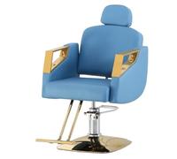 Silla de peluquería hidráulica, rotación de 360 grados, piel ajustable, para salón, spa, tienda de tatuajes