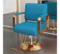 Silla de peluquería - Reclinación hidráulica resistente equipo de salón para spa de belleza y estudios de tatuajes