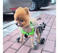 Silla de ruedas ajustable de 4 ruedas para perros pequeños (S), soporte para displasia de cadera y patas traseras, mejora la experiencia t & li