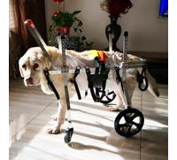 Silla de ruedas ajustable de 4 ruedas para perros pequeños y mascotas, soporte completo, ayuda para animales Did, tamaño L y diseño de mesa