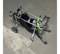Silla de Ruedas Ajustable de Aluminio for Perros, Soporte Trasero for Perros pequeños(M)