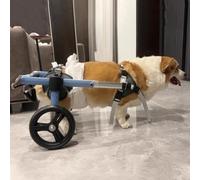 Silla de Ruedas Ajustable for Perros Dachshund y Corgi: Ayuda for la Movilidad de Mascotas con Problemas en Las Patas traseras, Carrito for Perros discapacitados for pasear y rehabilitación(M)