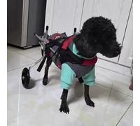Silla de ruedas ajustable para patas traseras, cochecito ligero de apoyo para mascotas con arnés para artritis y problemas de movilidad, cómoda ayuda a la movilidad del perro