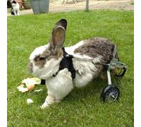 Silla de ruedas ajustable para perros, carrito de 2 ruedas para rehabilitación de patas traseras, soporte de movilidad para perros, gatos y conejos