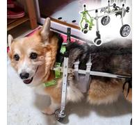Silla de ruedas ajustable para perros pequeños a medianos, carrito de recuperación ligero de 4 ruedas para perros y gatos lesionados