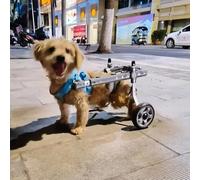 Silla de ruedas ajustable para perros pequeños y mamás, ayuda para artritis y lesiones, perfecta para cachorros activos (talla M)