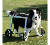 Silla de ruedas ajustable para perros pequeños y perros li Aid para perros Did Soporte de pierna trasera, tamaño M, mejora el li y la calidad de la vida