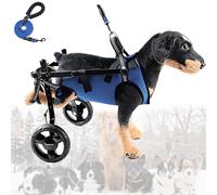 Silla de ruedas ajustable y ligera para patas traseras, ayuda a la movilidad de mascotas pequeñas, perfecta para perros lesionados, discapacitados o débiles, fácil de usar, soporte cómodo