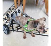 Silla de ruedas ligera para perros y gatos pequeños a grandes, carrito de soporte de patas traseras de aluminio duradero, ayuda de movilidad de 2 ruedas para mayor independencia y comodidad de las