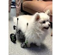 Silla de ruedas ligera y ajustable para perros y gatos, carrito de apoyo completo para todas las patas, aluminio, ideal para madres pequeñas y mascotas