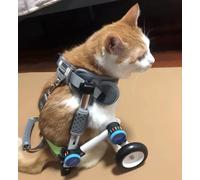 Silla de ruedas para mascotas para patas traseras, carrito para perros y gatos, patas traseras, carrito para sillas de ruedas para cachorros de interior, pequeño, extra pequeño, grande, medi