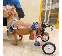 Silla de ruedas para mascotas para patas traseras, carrito para perros y gatos, patas traseras, carrito para sillas de ruedas para cachorros de interior, pequeño, extra pequeño, grande, medi