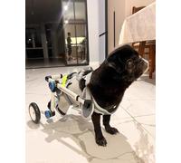 Silla de ruedas para perros, ayuda de movilidad ajustable para patas traseras paralizadas, carrito de rehabilitación cómodo y plegable para mascotas pequeñas