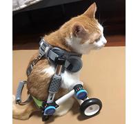 Silla de Ruedas Para Perros Carro Para Perro Silla De Ruedas Para Mascotas Para Patas Traseras Carro Para Perros Y Gatos, Carro Para Sillas De Ruedas Con Patas Traseras Para Cachorros De Interior Pequ