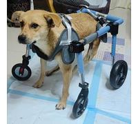 Silla de ruedas para perros de 4 ruedas para madres pequeñas y perros, ajustable para patas traseras, soporte perfecto para mascotas activas, ideal para rehabilitación