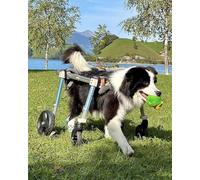 Silla de ruedas para perros Did Pets Soporte de pierna delantera y trasera de 4 ruedas li Aid para perros ayuda con caminar y movimiento Arnés ajustable para T