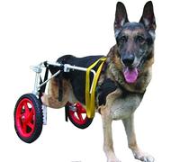 Silla de ruedas para perros grande ajustable con patas traseras para perros, herramienta ligera para caminar con carrito para rehabilitación de piernas asistida (L, XL)