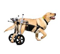 Silla de ruedas para perros grandes, carrito de 2 ruedas para patas traseras paralizadas, soporte cómodo para mascotas discapacitadas, mejora la movilidad y la calidad de vida