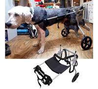 Silla de ruedas para perros para patas traseras, ayuda de movilidad para perros Golden Retrievers y pastores alemanes, apoyo para artritis, ayuda de ejercicio para perros discapacitados, mayor