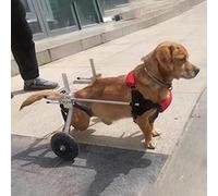 Silla de ruedas para perros pequeños con soportes ajustables para las piernas y correa suave, perfecta para perros mayores, soporte de pierna trasera y ayuda para un mejor movimiento