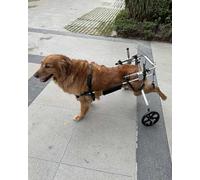 Silla de Ruedas para Perros Silla de Ruedas para Perros Grande y Mediana para Patas Traseras, Carro para Perros Ajustable para Caminar, Paseador Asistido Por Perro Discapacitado, Equipo de Rehabilitac