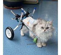 Silla de ruedas para perros y gatos, carrito ligero de 2 ruedas para mascotas paralizadas, arnés duradero incluido, ideal para uso en interiores