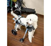 Silla de ruedas personalizable para perros con 4 ruedas, dispositivo de rehabilitación de soporte completo para mascotas con problemas de movilidad
