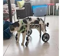 Silla de ruedas portátil para perros y gatos pequeños Bs S XS S S 4 ruedas li Aid para patas traseras artritis rehabilitación carro de entrenamiento para mascotas