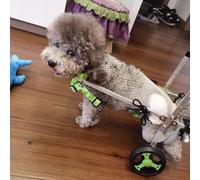 Silla de ruedas todo terreno para perros, soporte trasero ajustable y rodillera para ligamento cruzado anterior desgarrado, ayuda de movilidad para perros pequeños, carrito de cadera para mascotas