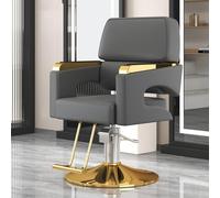 Silla de salón de peluquería silla de peluquería con bomba hidráulica de alta resistencia, silla de peinado, equipo de belleza de spa giratorio de 360°, estilista mujer hombre para barbería(A)