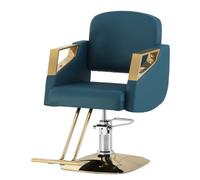 Silla de salón resistente con giro de 360 grados y bomba hidráulica para servicios profesionales de peluquería, estilista y tatuaje