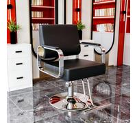 Silla de Salón, Silla de Barbero, Silla de Estilista, Silla de Esteticista