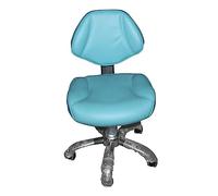 Silla dental ajustable con soporte para la espalda, 48,3 cm a 61 cm de altura, silla de salón rodante para tatuadores y dentistas, diseño elegante de 4 colores