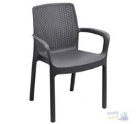 Silla En PLP Reina Antracita Efecto Ratten Cm 61x54xH 82