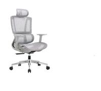 Silla ErgonóMica De Oficina Adecuada para El Hogar Gaming Soporte Lumbar Respaldo Reclinable CóModo Tela De Malla Transpirable (CoxíN De Malla Gris para El Asiento)