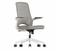 Silla ergonómica de Oficina, Conjunto de Escritorio y Silla para Oficina en casa, Altura del Asiento Ajustable, Apta para escritorios, Estudio o Trabajo(Gray)