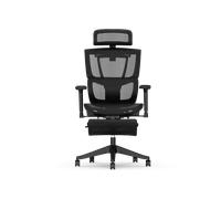 Silla Ergonómica Multi-Ajustable con Soporte Lumbar Dividido
