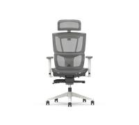 Silla Ergonómica Multi-Ajustable con Soporte Lumbar Dividido