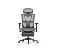 Silla Ergonómica Multi-Ajustable con Soporte Lumbar Dividido