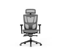 Silla Ergonómica Multi-Ajustable con Soporte Lumbar Dividido