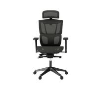Silla Ergonómica Multi-Ajustable con Soporte Lumbar Dividido