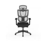 Silla Ergonómica Multi-Ajustable con Soporte Lumbar Dividido