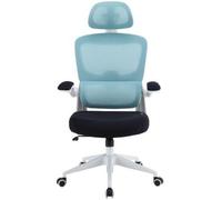 Silla Gaming Woxter Ergo/ Azul