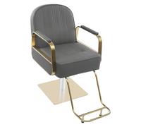 Silla hidráulica de estilo de salón de uñas, silla profesional de peluquería, silla de salón de peluquería para peluquería, hogares privados, salones de belleza, salones de uñas, salones de peluquería
