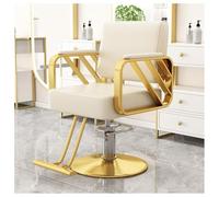 Silla hidráulica de peluquería para estilistas y artistas del tatuaje, equipo versátil de salón para champú y peinado